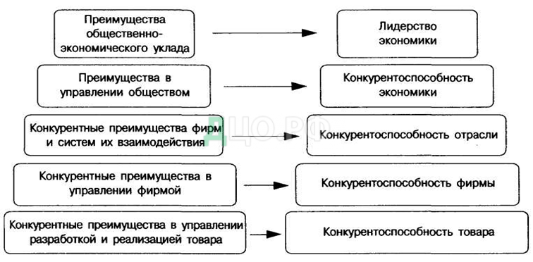 Дипломная работа: Пути обеспечения конкурентных преимуществ фирмы